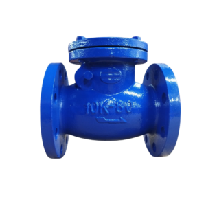 Van 1 chiều mặt bích Samwoo