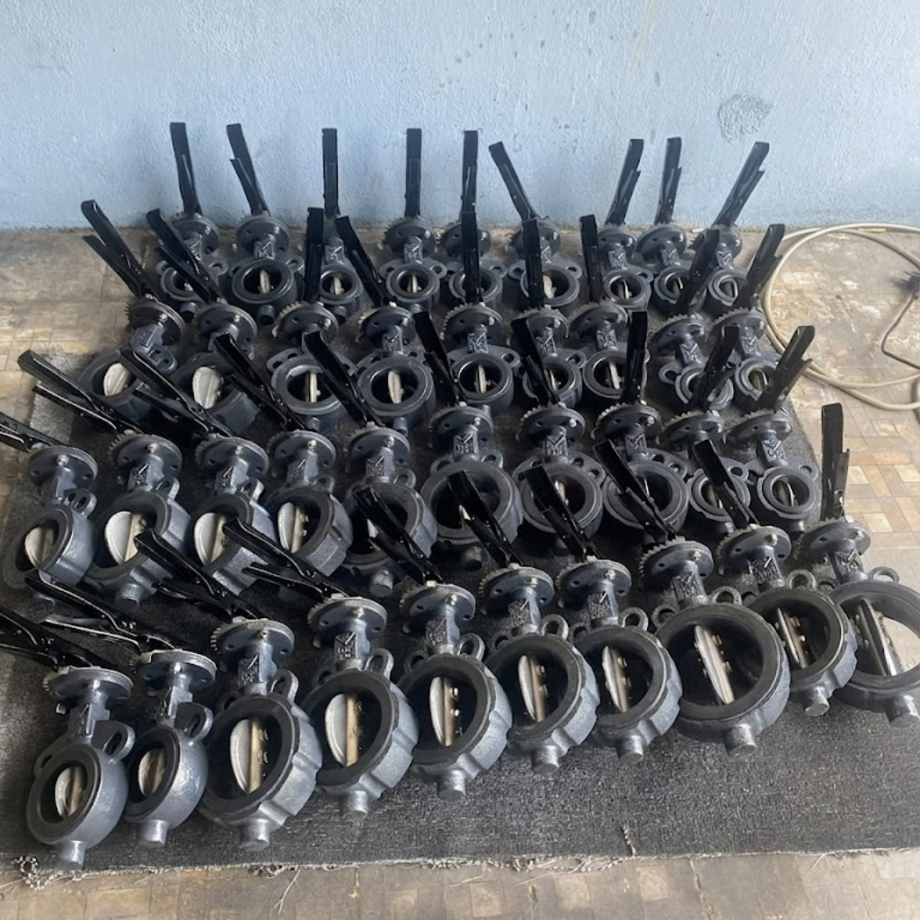 Van bướm gang Samwoo