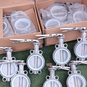 Van bướm inox Samwoo