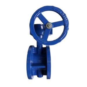 Van bướm tay quay mặt bích Samwoo