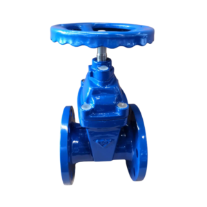 Van cổng gang Samwoo