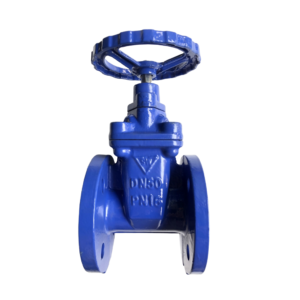 Van cổng ty chìm Samwoo