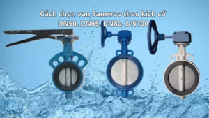 Cách chọn van Samwoo theo kích cỡ DN50, DN65, DN80, DN100