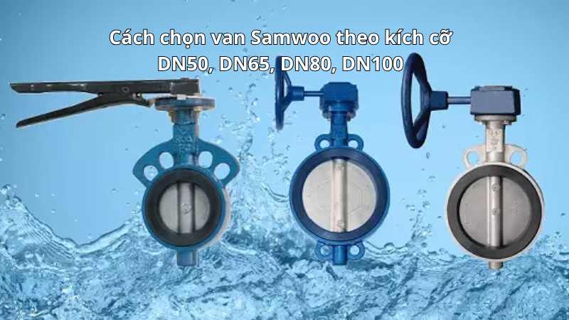 Cách chọn van Samwoo theo kích cỡ DN50, DN65, DN80, DN100