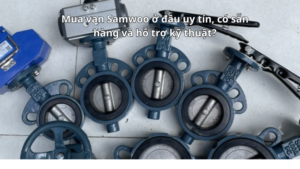 Mua van Samwoo ở đâu uy tín, có sẵn hàng và hỗ trợ kỹ thuật?