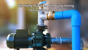 Hệ thống máy bơm nên dùng những loại van Samwoo nào?