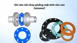 Khi nào cần thay gioăng mặt bích cho van Samwoo?