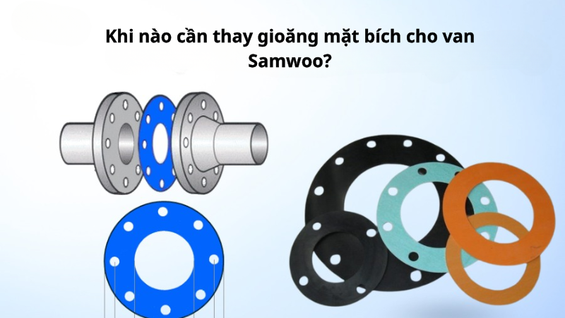Khi nào cần thay gioăng mặt bích cho van Samwoo?