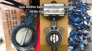 Van bướm Samwoo đóng không kín là do nguyên nhân gì?