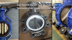 Van bướm wafer, lug và mặt bích Samwoo khác nhau như thế nào?