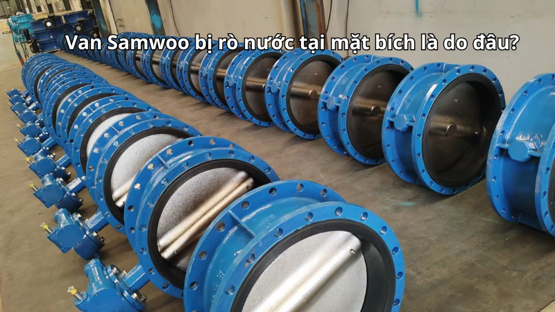 Van Samwoo bị rò nước tại mặt bích là do đâu?