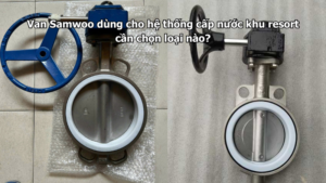 Van Samwoo dùng cho hệ thống cấp nước khu resort cần chọn loại nào?