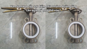 Van Samwoo lắp tại điểm chia nhánh đường ống cần quản lý như thế nào?