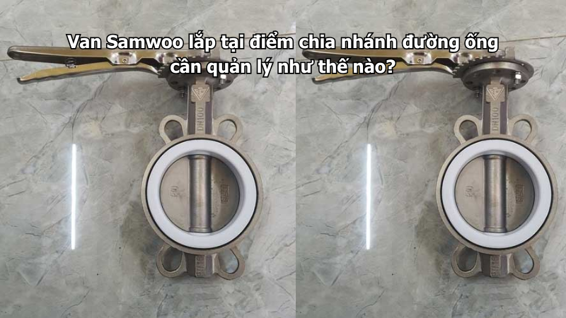 Van Samwoo lắp tại điểm chia nhánh đường ống cần quản lý như thế nào?