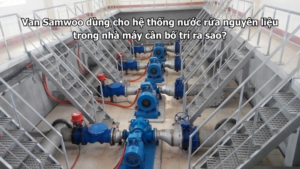 Van Samwoo dùng cho hệ thống nước rửa nguyên liệu trong nhà máy cần bố trí ra sao?