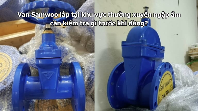 Van Samwoo lắp tại khu vực thường xuyên ngập ẩm cần kiểm tra gì trước khi dùng?